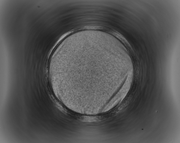 X0000082990852200703020843