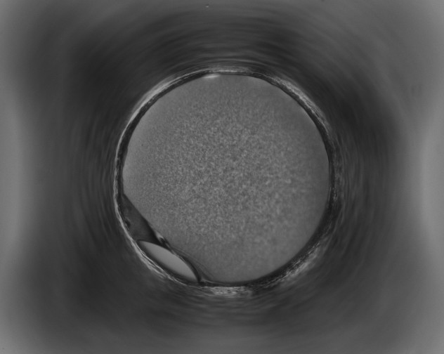 X0000082990853200703020843