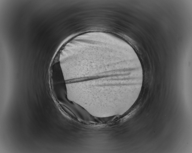 X0000082990854200703020843