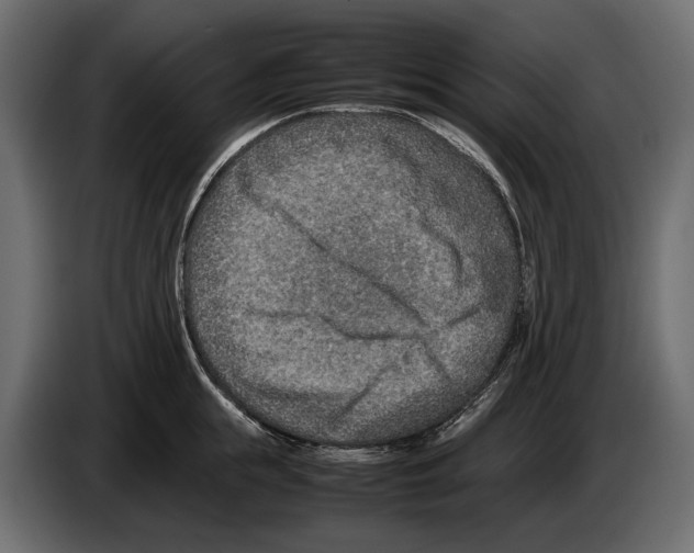 X0000082990855200703020843