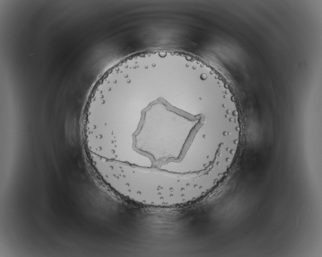 X0000082990856200703020843