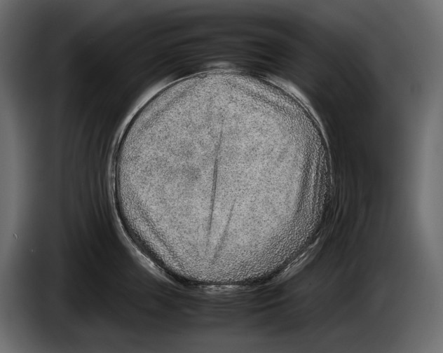 X0000082990859200703020843