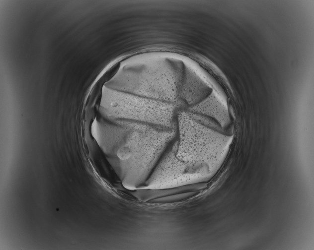 X0000082990860200703020843