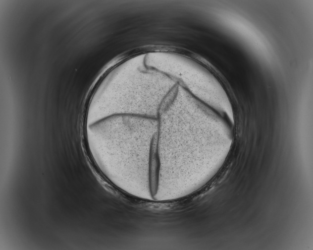 X0000082990861200703020843