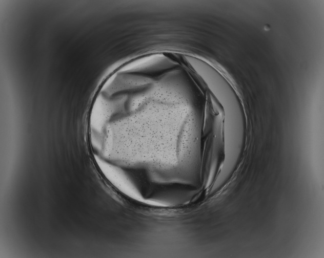 X0000082990862200703020843