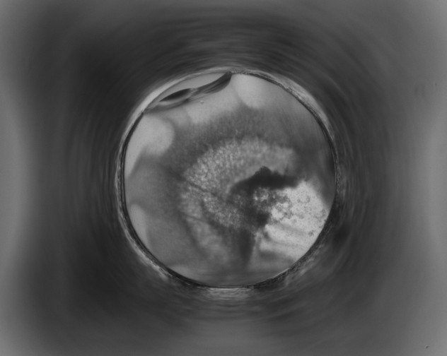 X0000082990863200703020843