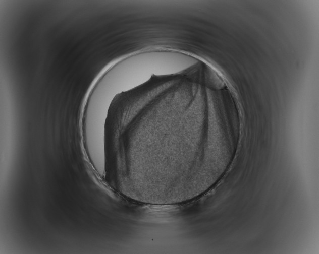 X0000082990864200703020843