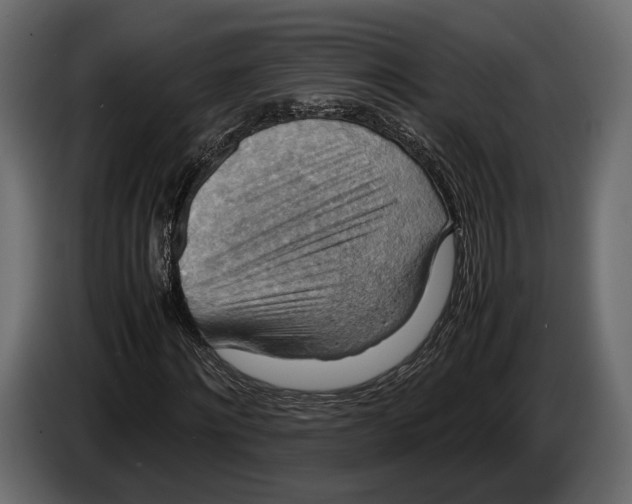 X0000082990868200703020842