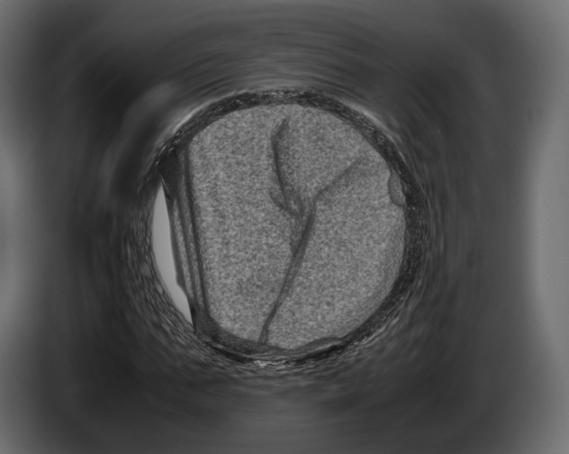 X0000082990871200703020842