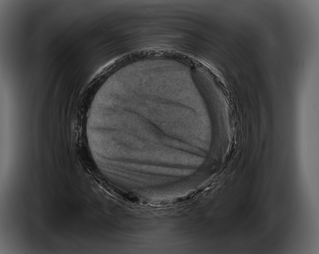 X0000082990872200703020842