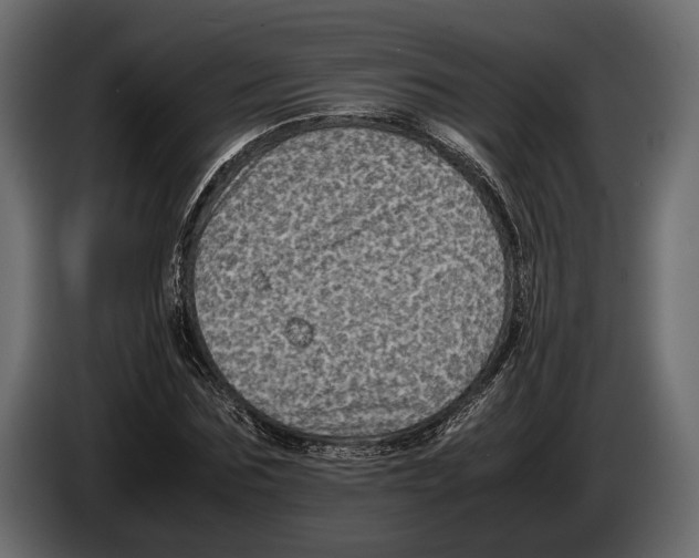 X0000082990875200703020842