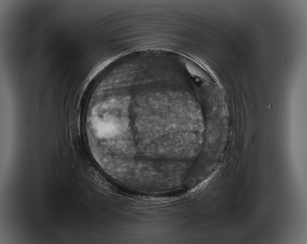 X0000082990877200703020842