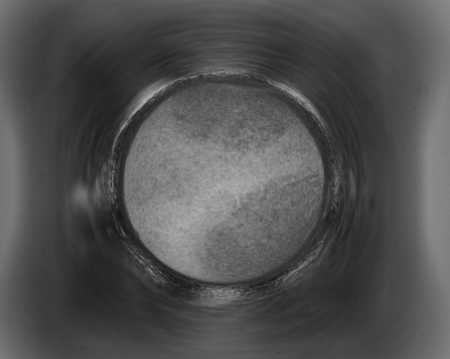 X0000082990878200703020842