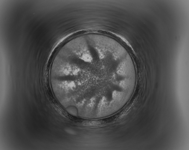 X0000082990879200703020842