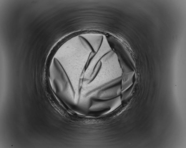 X0000082990880200703020842