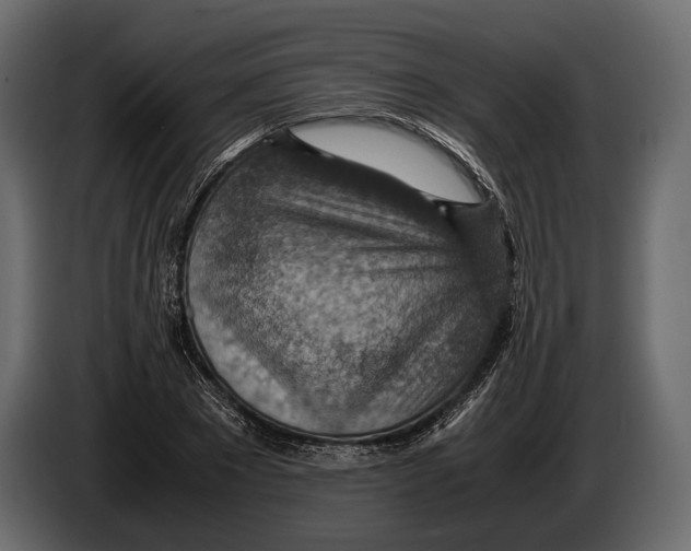 X0000082990881200703020842