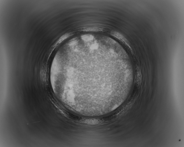 X0000082990882200703020842