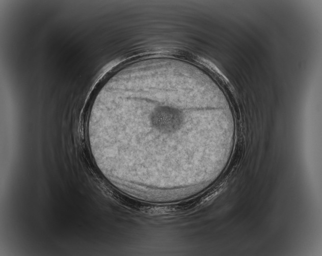 X0000082990883200703020842