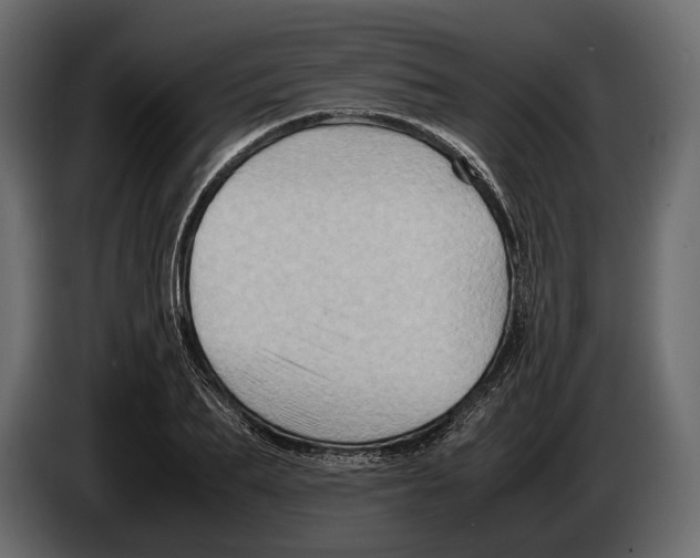 X0000082990887200703020842