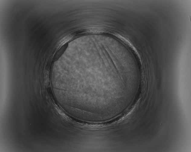 X0000082990889200703020842