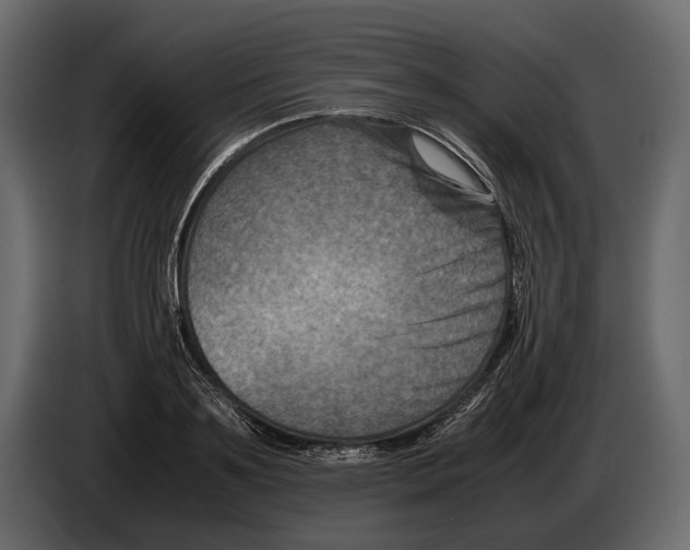 X0000082990891200703020842