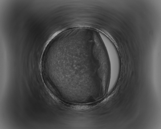 X0000082990893200703020842