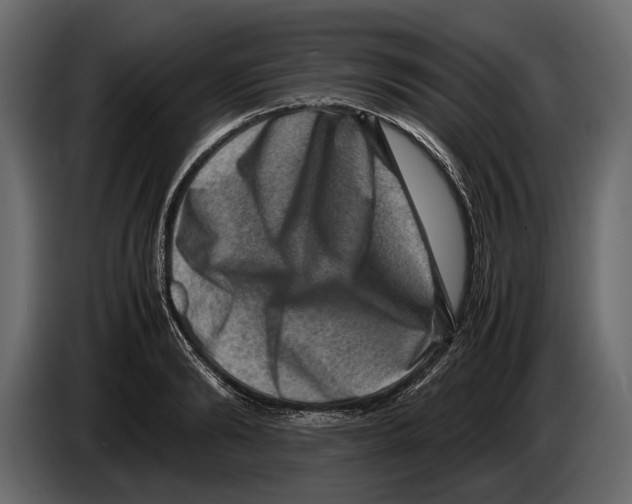 X0000082990894200703020842