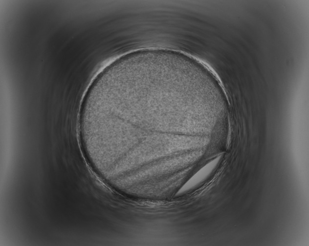 X0000082990895200703020842