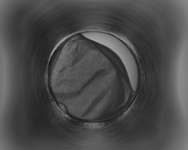 X0000082990896200703020842