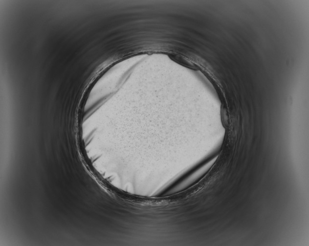 X0000082990898200703020842