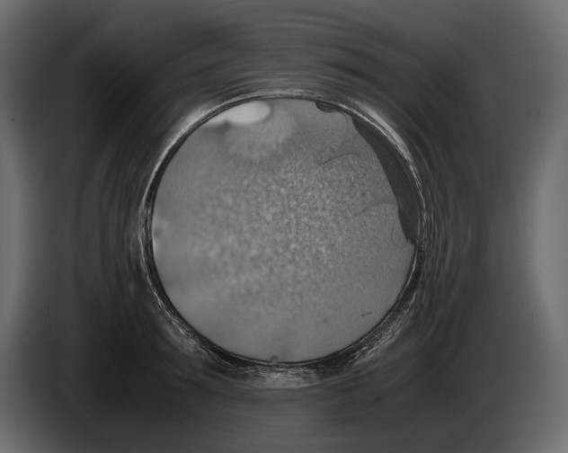 X0000082990899200703020842