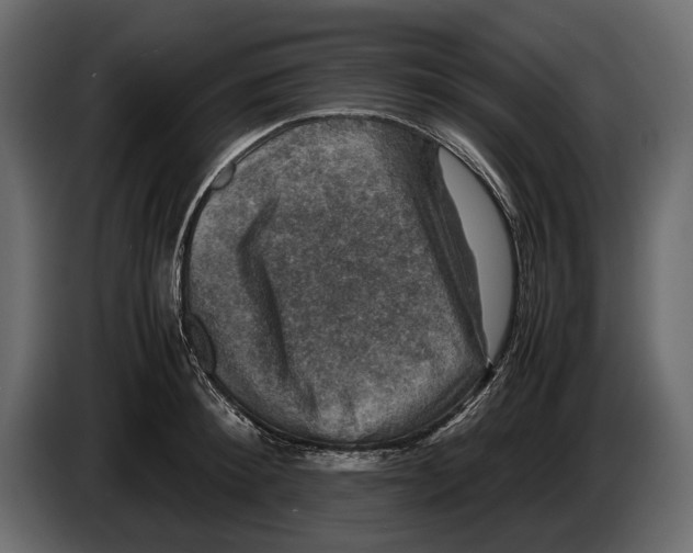 X0000082990900200703020842