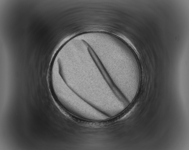 X0000082990901200703020842