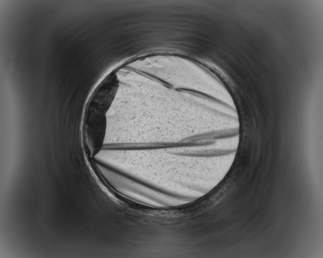 X0000082990902200703020842