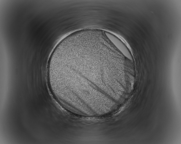 X0000082990903200703020842