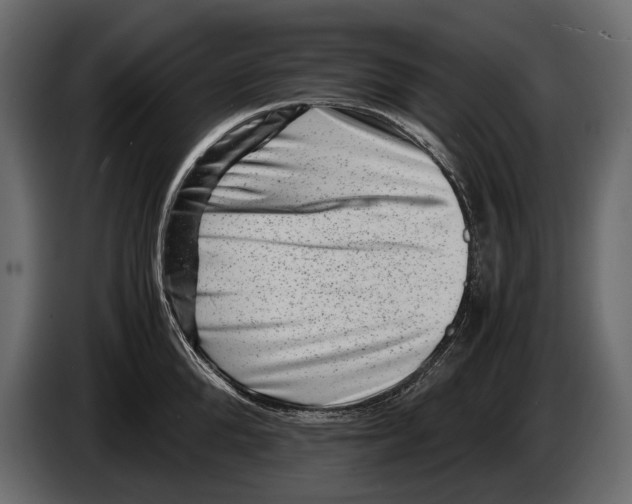 X0000082990904200703020842