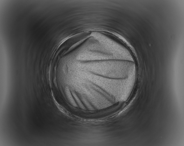 X0000082990905200703020842