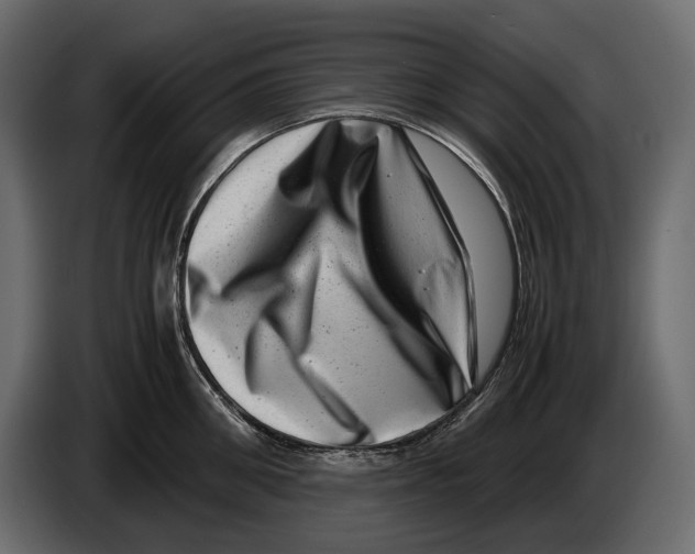 X0000082990906200703020842