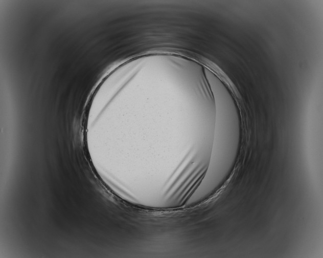 X0000082990908200703020842