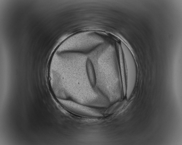 X0000082990909200703020842