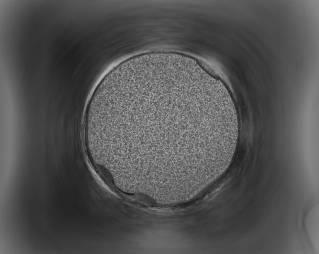 X0000082990911200703020842