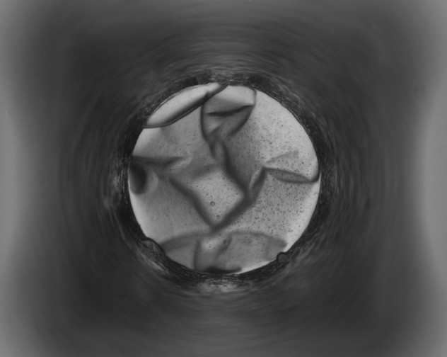 X0000082990914200703020841