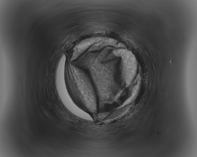 X0000082990916200703020841