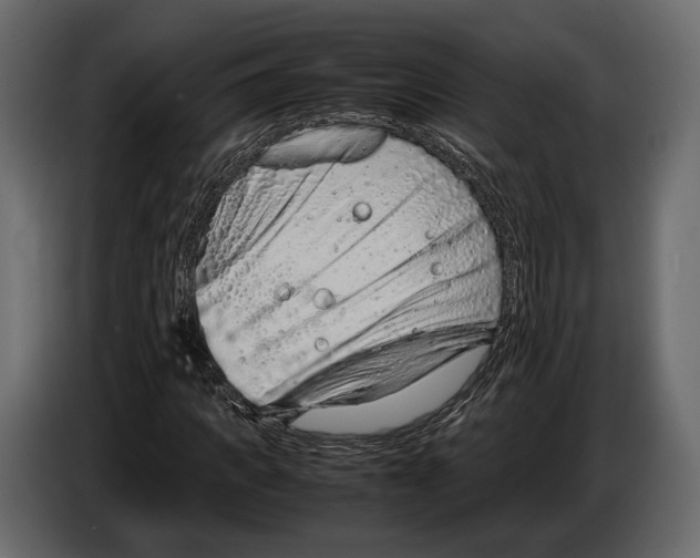 X0000082990917200703020841