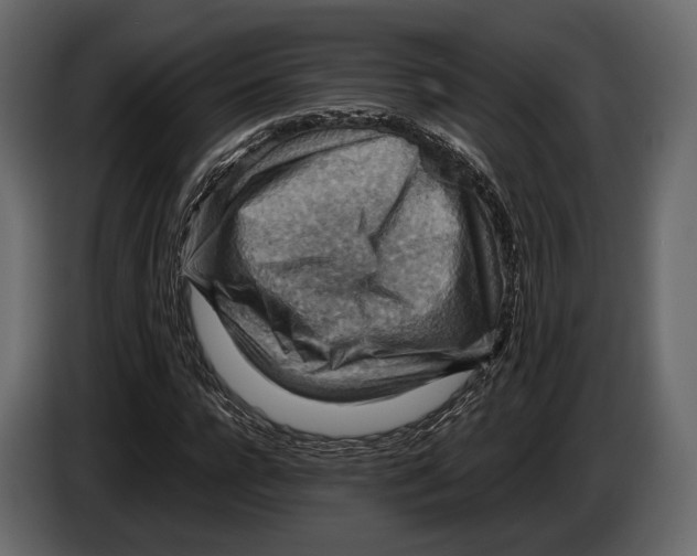 X0000082990920200703020841