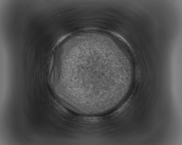 X0000082990921200703020841