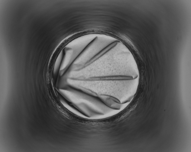 X0000082990924200703020841