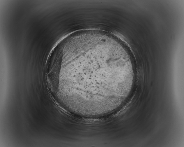 X0000082990925200703020841