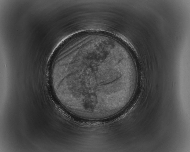 X0000082990926200703020841