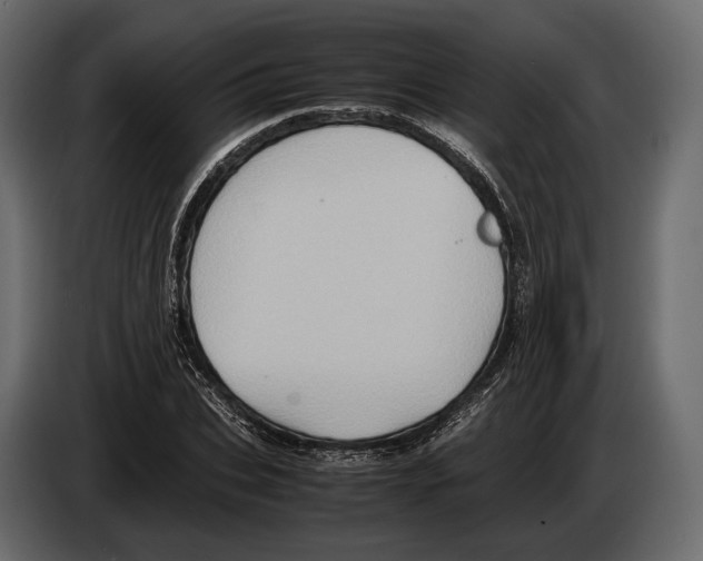 X0000082990927200703020841